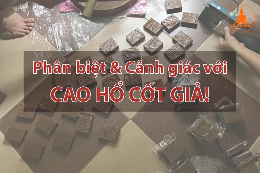 Cách phân biệt cao hổ Thái Lan thật - giả