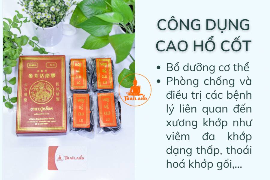 Cao hổ cốt có công dụng gì