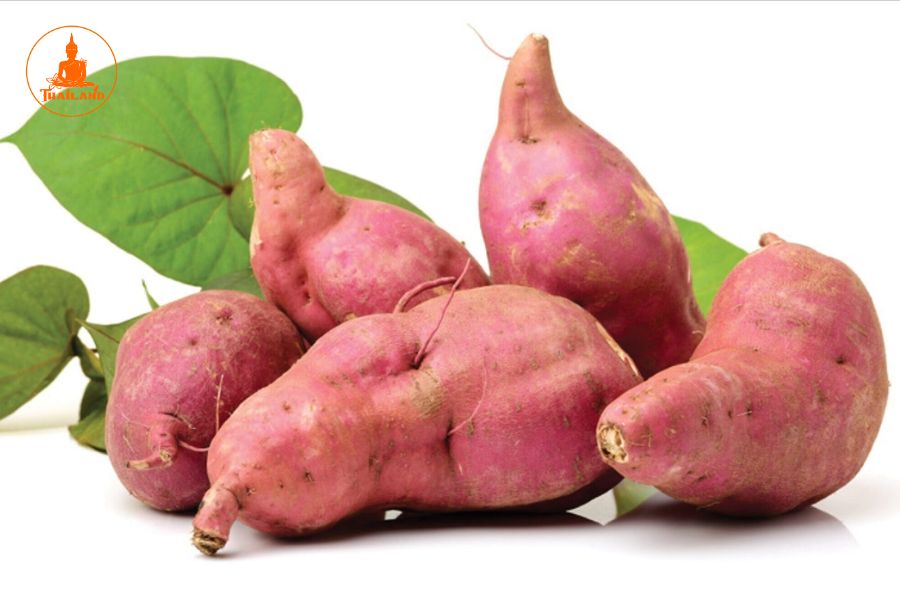 Ăn gì không say xe?