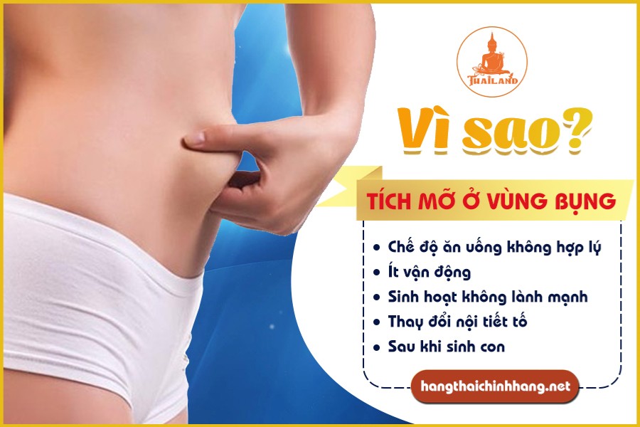 Nguyên nhân gây mỡ bụng