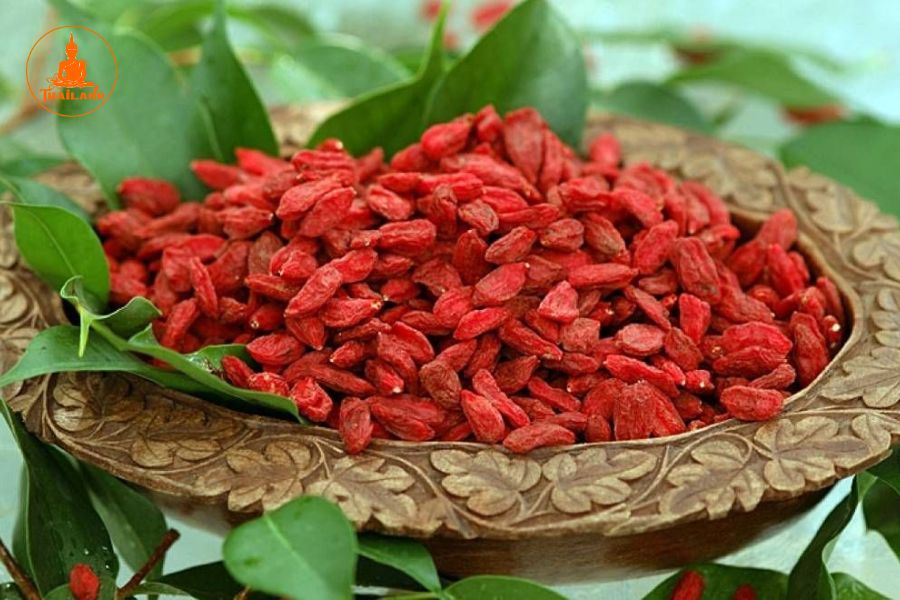 Bài thuốc chữa bệnh từ câu kỷ tử