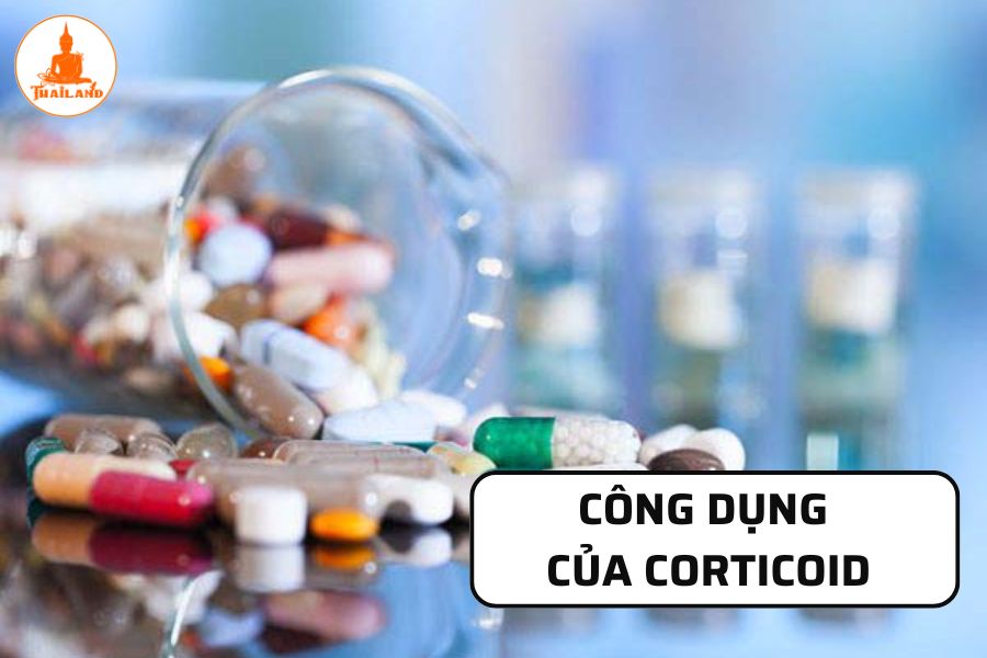 Công dụng của corticoid