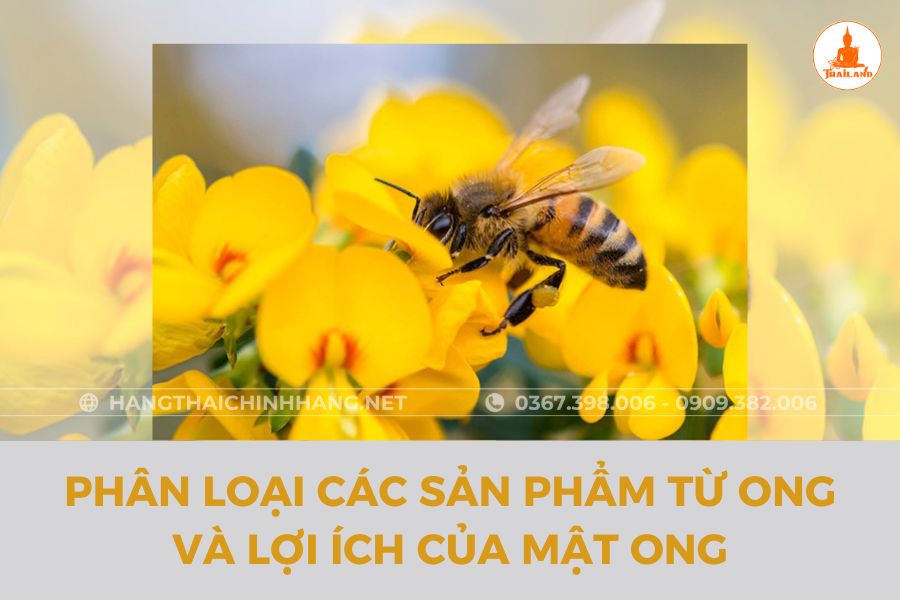 Các sản phẩm làm từ ong và lợi ích không ngờ của mật ong