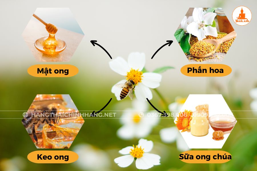 Phân loại các sản phẩm từ ong