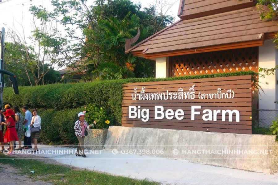 Trang trại Big Bee Farm