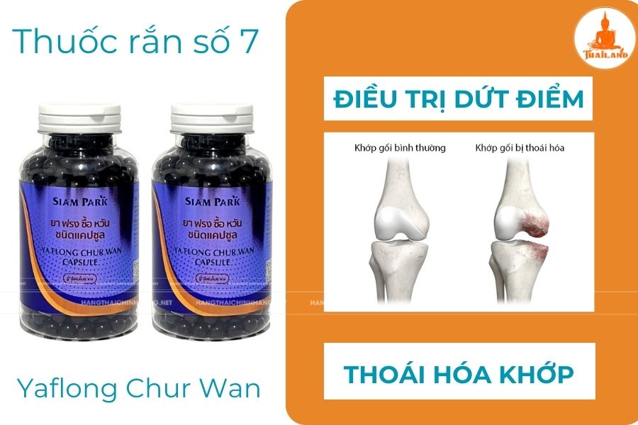 Thuốc rắn số 7 Ya Flong Chur Wan Thái Lan