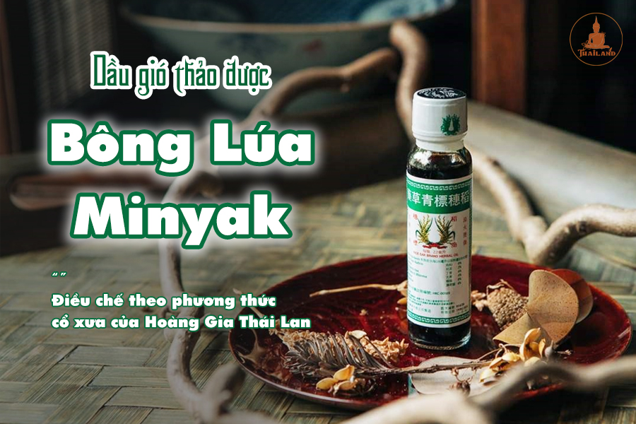 Công dụng và cách dùng của dầu gió bông lúa MinYak Thái Lan