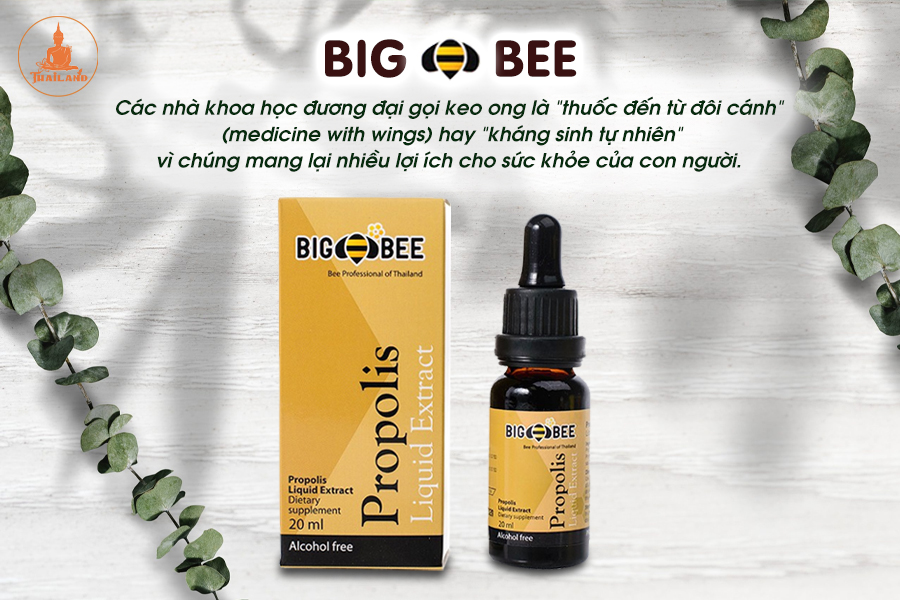 Công dụng của keo ong Big Bee Propolis