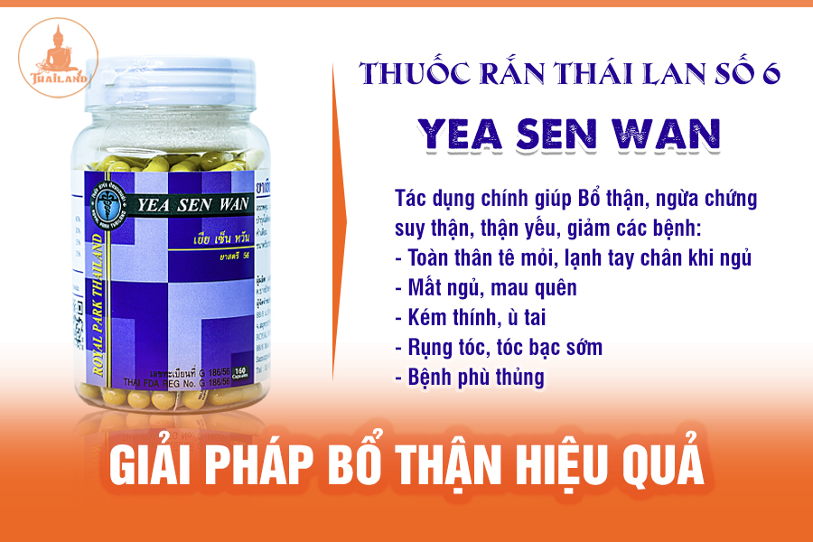 Công dụng thuốc rắn Hoàng Gia Thái Lan số 6 Yea Sen Wan