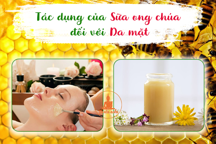 Sữa ong chúa có tác dụng gì cho da mặt?