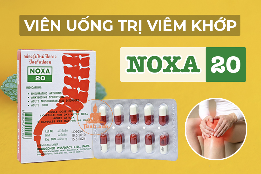 Viên uống Noxa 20 Thái Lan - điều trị viêm khớp gối hiệu quả